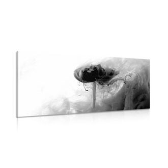 OBRAZ ZAJÍMAVÝ KVĚT V ČERNOBÍLÉM PROVEDENÍ - ČERNOBÍLÉ OBRAZY - OBRAZY