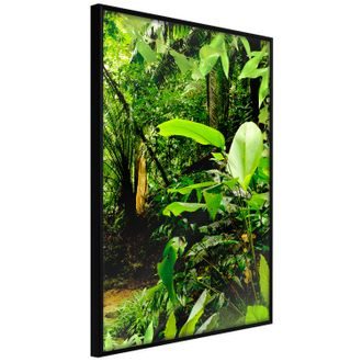 Plagát zelená džungľa - In the Rainforest