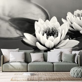 WALL MURAL BLACK AND WHITE LOTUS FLOWER IN THE LAKE - BLACK AND WHITE WALLPAPERS - WALLPAPERS