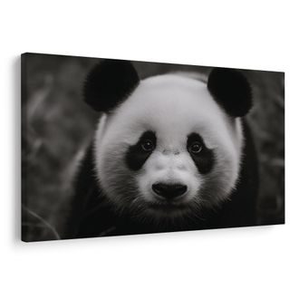 WANDBILD NIEDLICHER PANDA IN DER NATUR - BILDER TIERE - BILDER