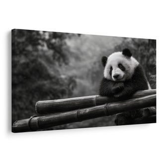 OBRAZ PANDA ODPOČÍVAJÍCÍ NA BAMBUSU - OBRAZY ZVÍŘAT - OBRAZY