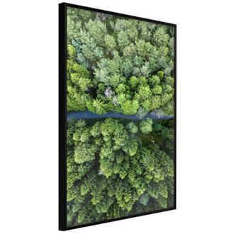 Plakat - Forest from a Bird's Eye View