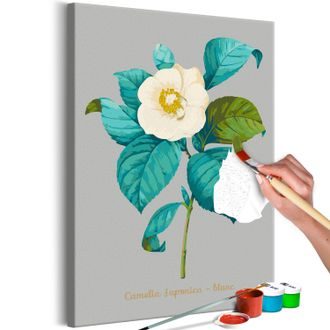 Slika slikanje po številkah cvet kamelije - Beautiful Camellia