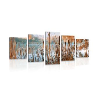 ΠΟΤΑΜΌΣ ΕΙΚΌΝΑΣ 5 ΜΕΡΏΝ ΣΤΗ ΜΈΣΗ ΤΗΣ ΦΘΙΝΟΠΩΡΙΝΉΣ ΦΎΣΗΣ - ΠΊΝΑΚΕΣ ΦΎΣΗΣ ΚΑΙ ΤΟΠΊΟΥ - ΠΊΝΑΚΕΣ