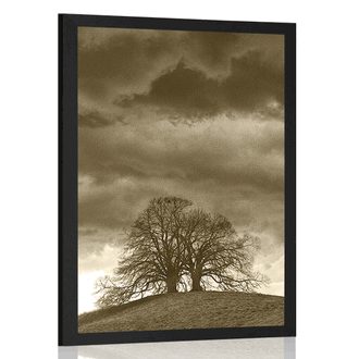 AFFICHE ARBRES SOLITAIRES EN SÉPIA - NOIR ET BLANC - AFFICHES