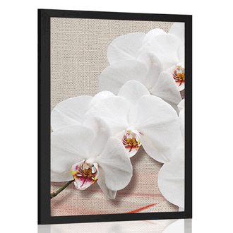 POSTER WEISSE ORCHIDEE AUF LEINWAND - BLUMEN - POSTER