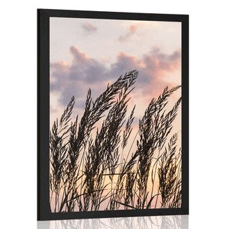 POSTER GRAS BEI SONNENUNTERGANG - NATUR - POSTER