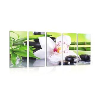 5-DÍLNÝ OBRAZ JAPONSKÁ ORCHIDEJ - OBRAZY FENG SHUI - OBRAZY