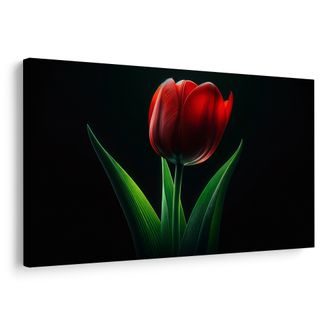 OBRAZ ČERVENÁ TULIPÁNOVÁ ELEGANCE - OBRAZY TULIPÁN - OBRAZY