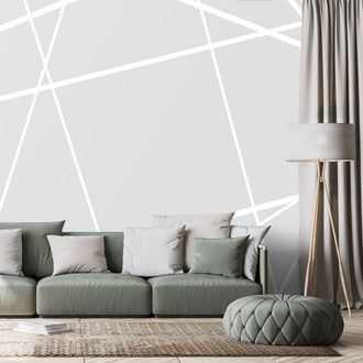 TAPETA MODERNÍ PAVUČINA - TAPETY - TOTÁLNÍ VÝPRODEJ 🔥