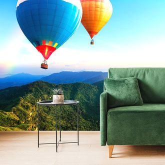 WALL MURAL ADVENTURE ON BALLOONS - WALLPAPERS NATURE - WALLPAPERS
