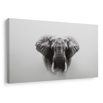 OBRAZ MAJESTÁTNÍ SLON V MLZE - OBRAZY SLONI - OBRAZY