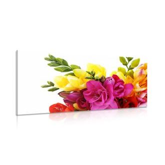 CANVAS PRINT BOUQUET OF FREESIAS - PICTURES FLOWERS - PICTURES