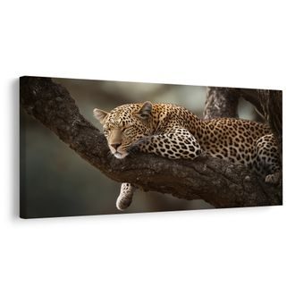 OBRAZ DIVOKÁ ELEGANCE V PŘÍRODĚ - OBRAZY LVI A TYGŘI - OBRAZY