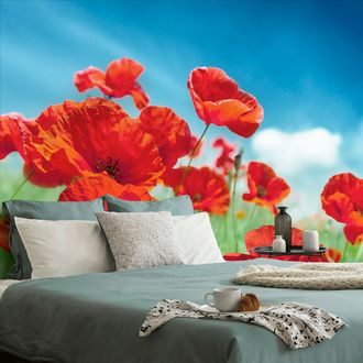 SELF ADHESIVE WALL MURAL POPPY FLOWERS IN THE MEADOW - SELF-ADHESIVE WALLPAPERS - WALLPAPERS