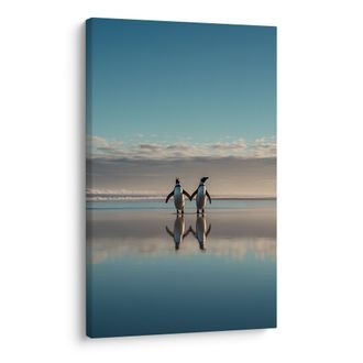 OBRAZ DVA TUČŇÁCI V ODRAZU - OBRAZY MOŘE A PLÁŽ - OBRAZY