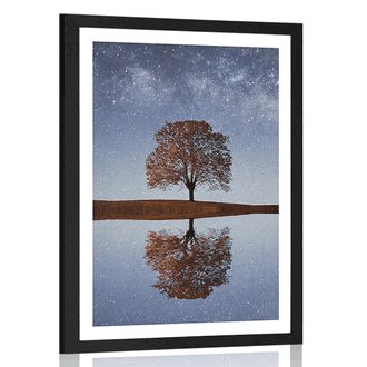 AFFICHE AVEC MONTURE CIEL ÉTOILÉ AU-DESSUS D'UN ARBRE SOLITAIRE - NATURE - AFFICHES