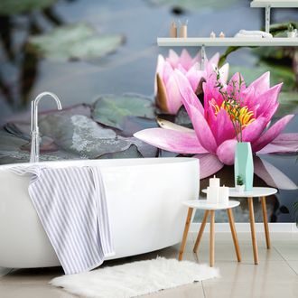 SAMOLEPÍCÍ FOTOTAPETA RŮŽOVÝ LOTOSOVÝ KVĚT - SAMOLEPÍCÍ TAPETY - TAPETY