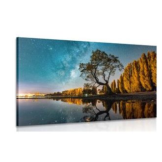 OBRAZ STROM POD HVĚZDNOU OBLOHOU - OBRAZY PŘÍRODY A KRAJINY - OBRAZY