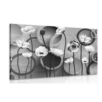OBRAZ MÁKY NA ABSTRAKTNÍM POZADÍ V ČERNOBÍLÉM PROVEDENÍ - ČERNOBÍLÉ OBRAZY - OBRAZY