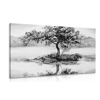 OBRAZ ORIENTÁLNÍ TŘEŠEŇ V ČERNOBÍLÉM PROVEDENÍ - ČERNOBÍLÉ OBRAZY - OBRAZY
