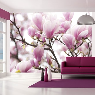 Photo wallpaper Blooming magnolia