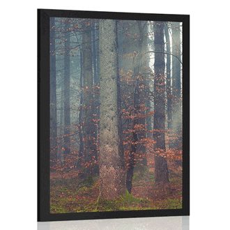FRAMED POSTER SECRET OF THE FOREST - NATURE - POSTERS