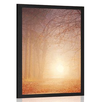 POSTER FOREST IN FAIRY-TALE COLORS - NATURE - POSTERS