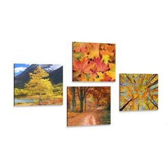 SET OBRAZŮ PODZIMNÍ PŘÍRODA V NÁDHERNÝCH BARVÁCH - SESTAVY OBRAZŮ - OBRAZY