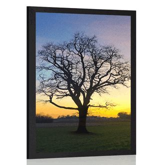 POSTER ENCHANTING TREE - NATURE - POSTERS