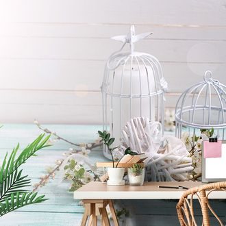 FOTOTAPETE KIRSCHZWEIGE UND LATERNEN - TAPETEN - 🔥 TOTALAUSVERKAUF