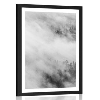 POSTER WITH MOUNT BLACK AND WHITE MISTY FOREST - BLACK AND WHITE - POSTERS