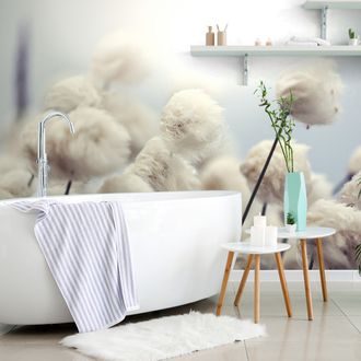 FOTOTAPETA ARKTICKÉ KVĚTINY BAVLNY - TAPETY KVĚTINY - TAPETY