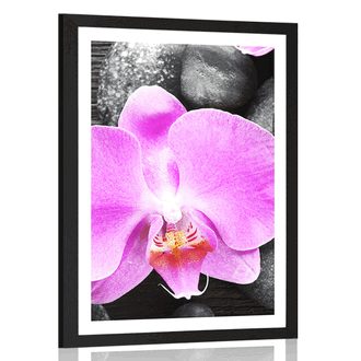 POSTER MIT PASSEPARTOUT WUNDERSCHÖNE ORCHIDEE UND STEINE - FENG SHUI - POSTER