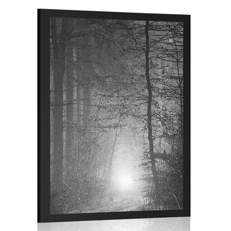 POSTER LICHT IM WALD IN SCHWARZ-WEISS - SCHWARZ-WEISS - POSTER