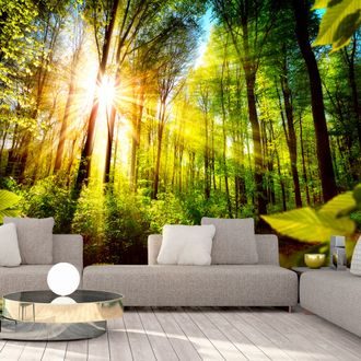 Self adhesive wallpaper sun in the forest