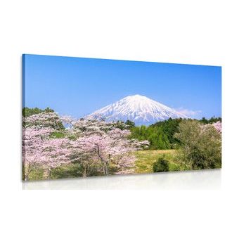 WANDBILD VULKAN FUJI - BILDER VON NATUR UND LANDSCHAFT - BILDER