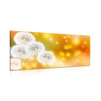 CANVAS PRINT FLUFFY DANDELION - PICTURES FLOWERS - PICTURES