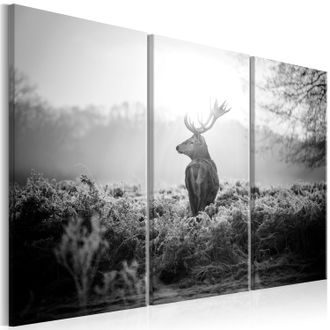 Obraz černobílý jelen - Black and White Deer