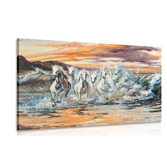 OBRAZ KONĚ TVOŘENY VODOU - OBRAZY ZVÍŘAT - OBRAZY
