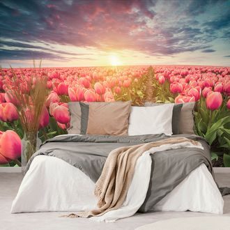 Samoprzylepna tapeta wschód słońca nad łąką z tulipanami