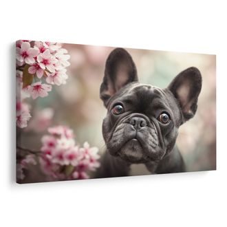 OBRAZ ROZTOMILÝ BULDOČEK MEZI KVĚTY - OBRAZY PSI - OBRAZY