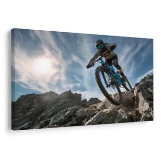 OBRAZ CYKLISTA NA HORSKÉ STEZCE - OBRAZY LIDÍ - OBRAZY