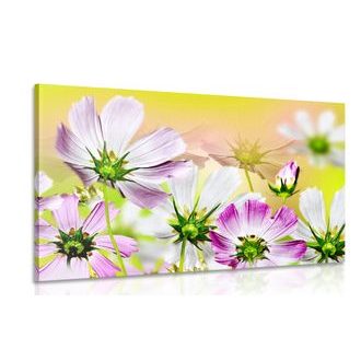 WANDBILD SOMMERBLUMEN - BILDER BLUMEN - BILDER