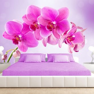 Carta da parati adesiva orchidea rosa