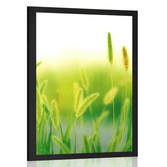 Plakát stébla trávy v zeleném provedení