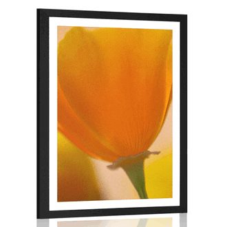 POSTER WITH MOUNT BOUQUET OF FLOWERS IN A CLOSE-UP - FLOWERS - POSTERS