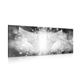 ΕΙΚΌΝΑ ΑΣΠΡΌΜΑΥΡΩΝ ΦΤΕΡΏΝ ΜΕ ΑΦΗΡΗΜΈΝΑ ΣΤΟΙΧΕΊΑ - ΠΊΝΑΚΕΣ ΑΣΠΡΌΜΑΥΡΕΣ - ΠΊΝΑΚΕΣ