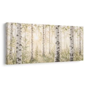 OBRAZ RANNÍ SVĚTLO MEZI BŘÍZAMI - PICTURES FOREST - PICTURES