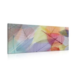 OBRAZ ŽILKY NA BAREVNÝCH LISTECH - OBRAZY PŘÍRODY A KRAJINY - OBRAZY